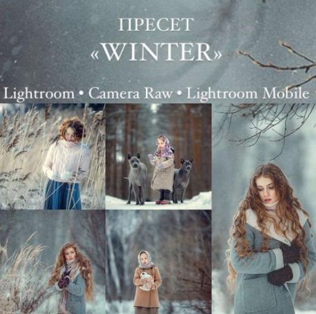 [Анна Мельникова] Пресет Winter (2021)_0.png